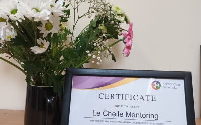 Le Chéile awarded Quality in Mentoring Award
